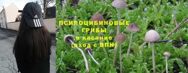 spice Абаза