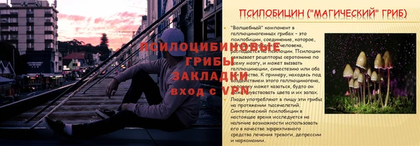 хмурый Алексин